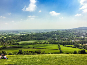 Box-Hill-06