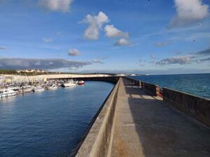 Brighton Marina arm